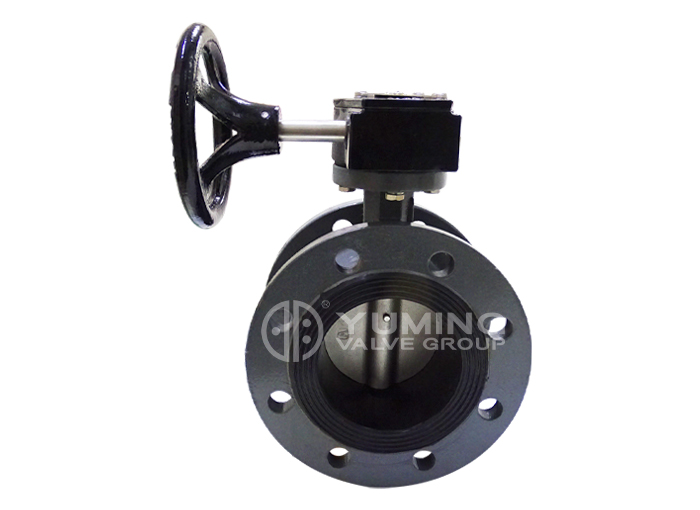 van bướm phớt mềm mặt bích