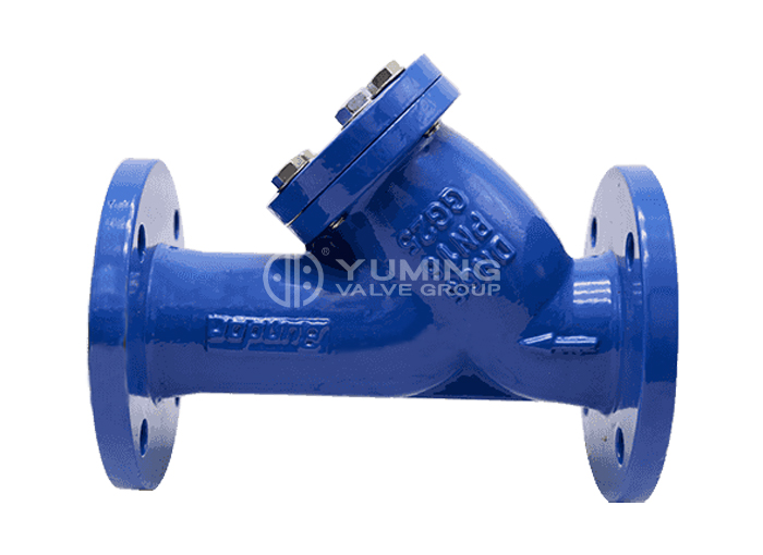 ANSI lớp 150 Y strainer.