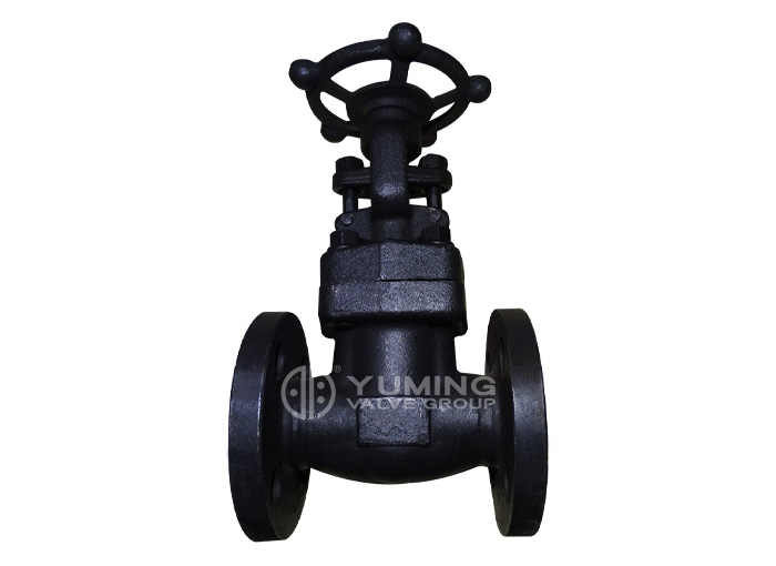 Van cổng mặt bích thép rèn