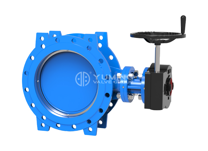 Van bướm lệch tâm đôi kích thước lớn