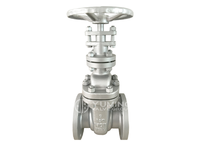 Van cổng DIflange tiêu chuẩn API