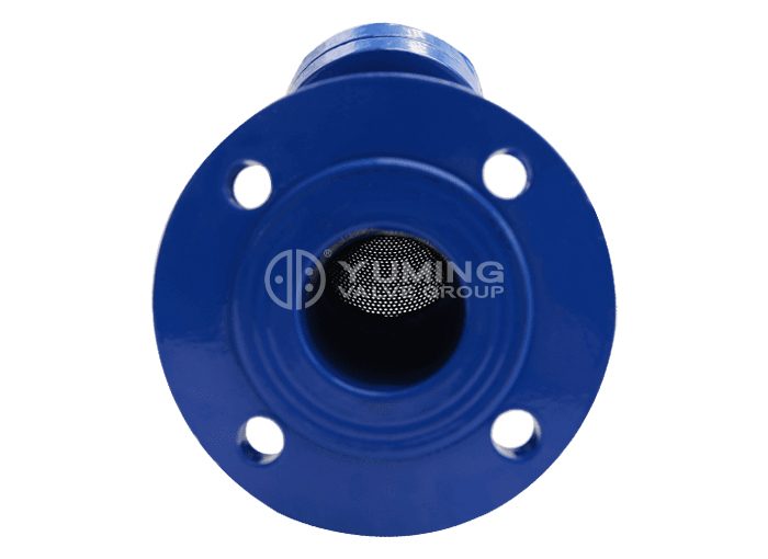 ANSI lớp 150 Y strainer.