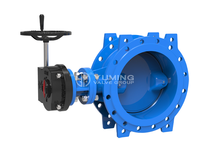 Van bướm lệch tâm đôi kích thước lớn