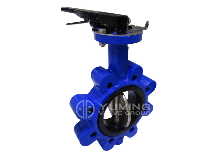 lug Phớt mềm bằng gang/sắt dẻo Đường tâm Van bướm